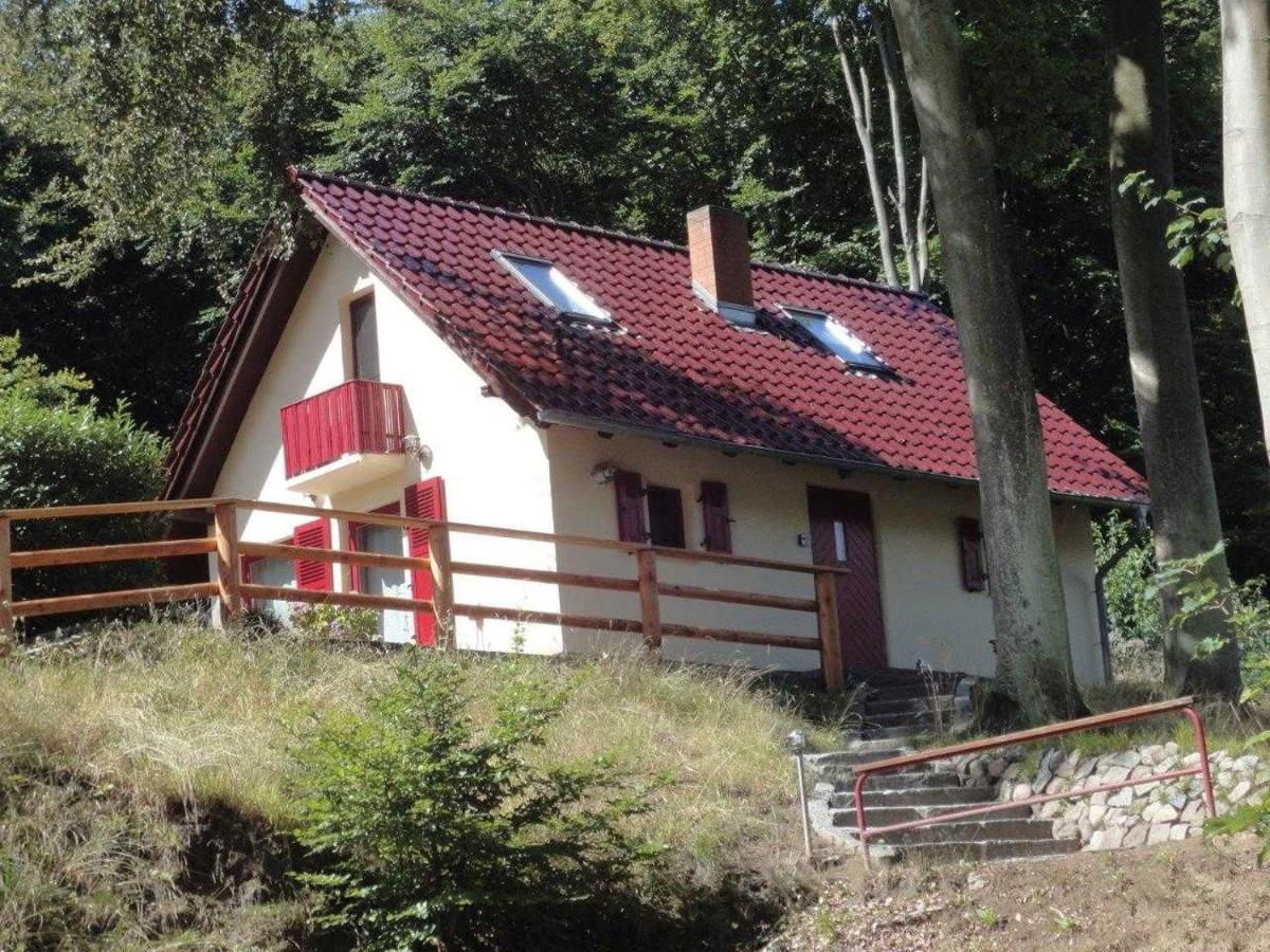 Ferienhaus Rotkaeppchen Villa Sellin  Luaran gambar